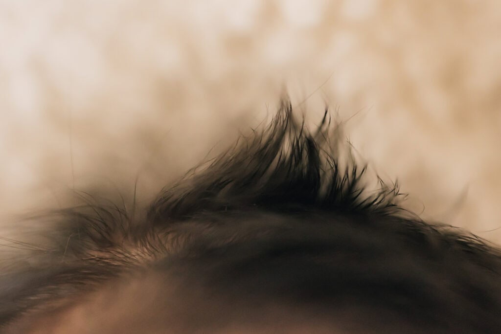 Nahaufnahme von feuchtem, stacheligem, schwarzem Haar auf dem Kopf einer Person vor einem unscharfen bräunlich-beigen Hintergrund.